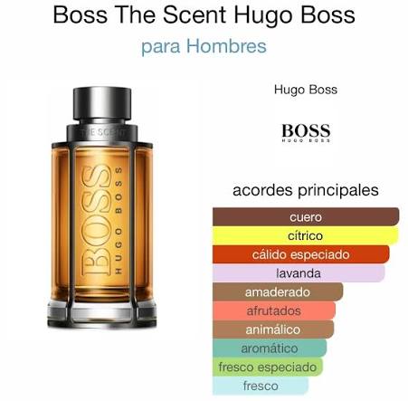 BOSS THE SCENT MEN 100 ML | HUGO BOSS 🤎