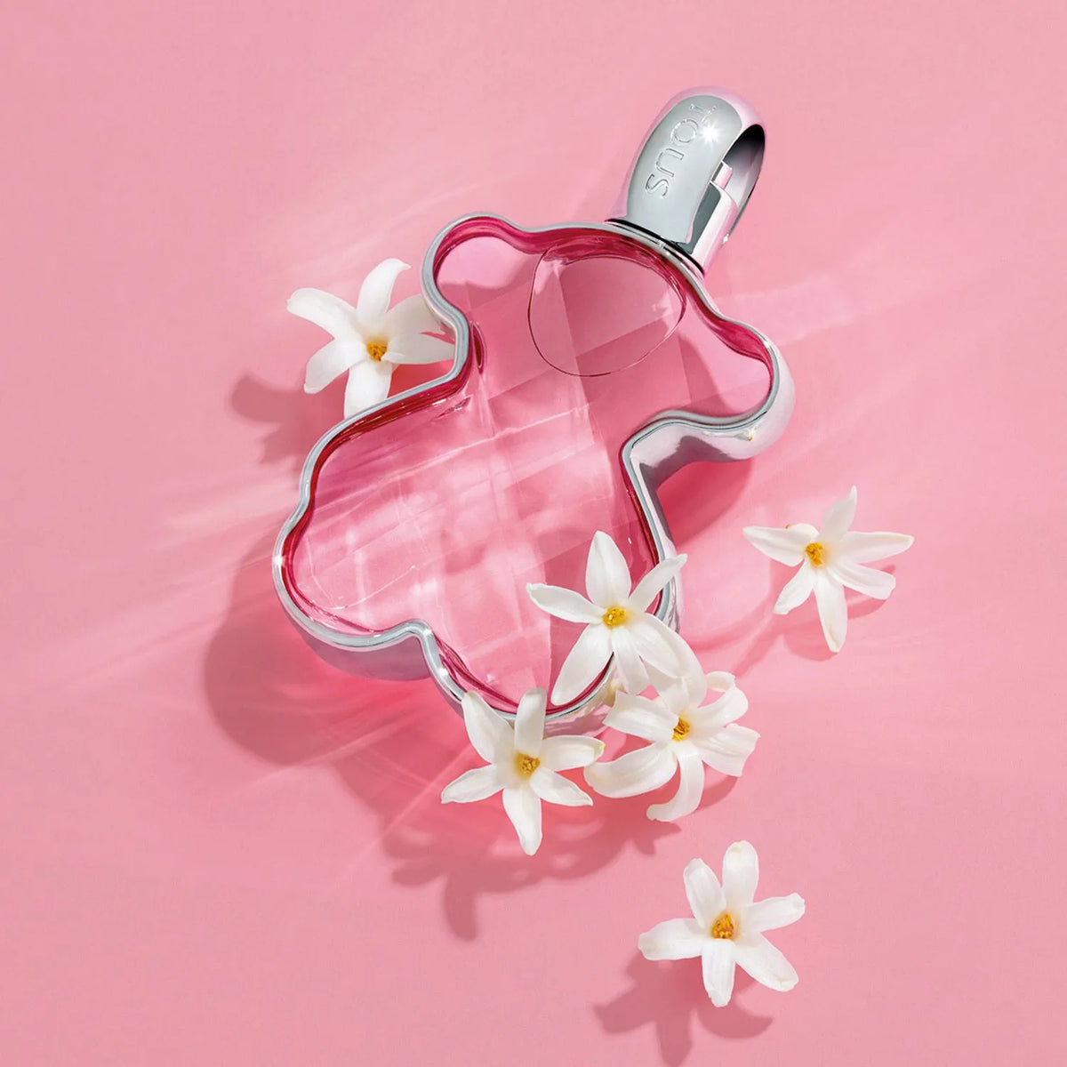 🧸 LOVEME WOMAN | TOUS ✨