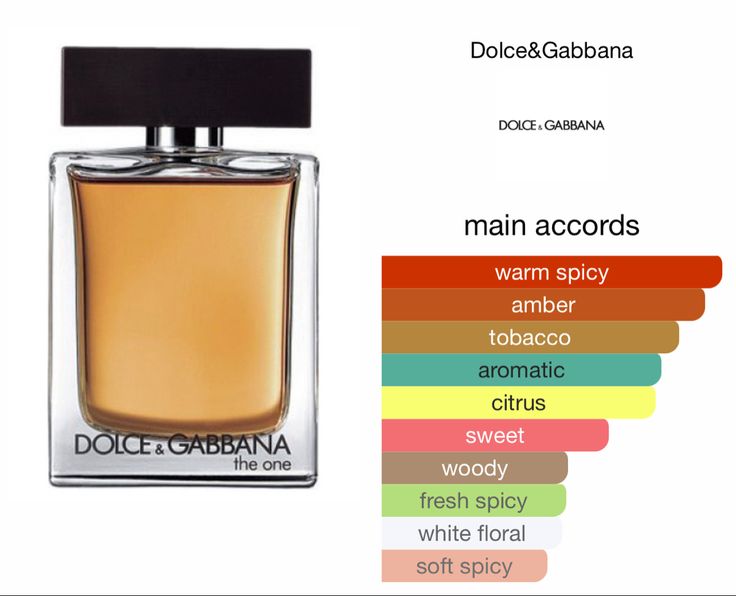 🤎 DOLCE&amp;GABBANA THE ONE FOR MEN 100 ML 🤎