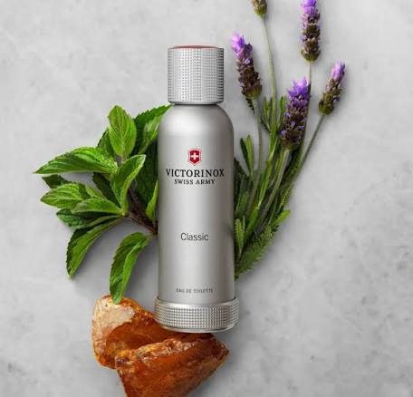 🌿 SWISS ARMY CLASSIC VICTORINOX — 100 ML